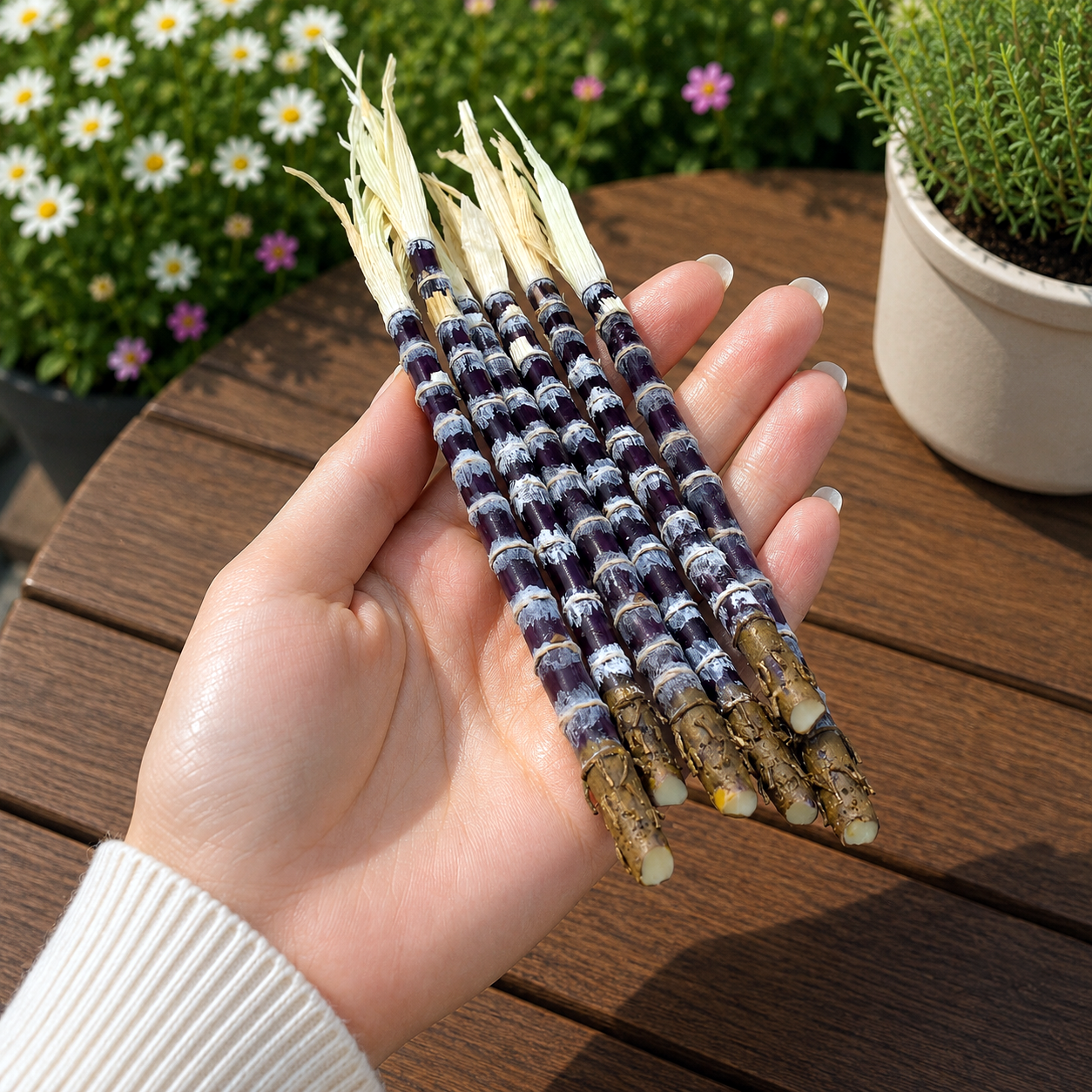 1:6 Scale Miniature Purple Sugar Cane Set โ Dollhouse Realistic Tropical Sugarcane Stalk, Handmade Polymer Clay Asian Market Food for Blythe BJD Diorama