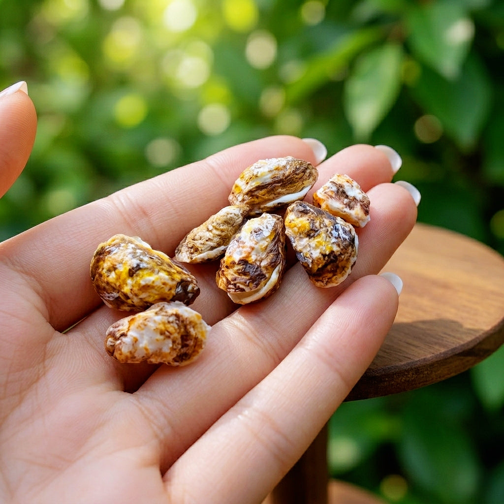 Miniature Grilled Oysters - Hand-Sculpted 1:6 Scale Garlic Oysters on the Half Shell with Scallion & Chili, Realistic Seafood Dollhouse Food for Blythe & Barbie Kitchen Dioramas, Resin Jewelry & Polymer Clay Food