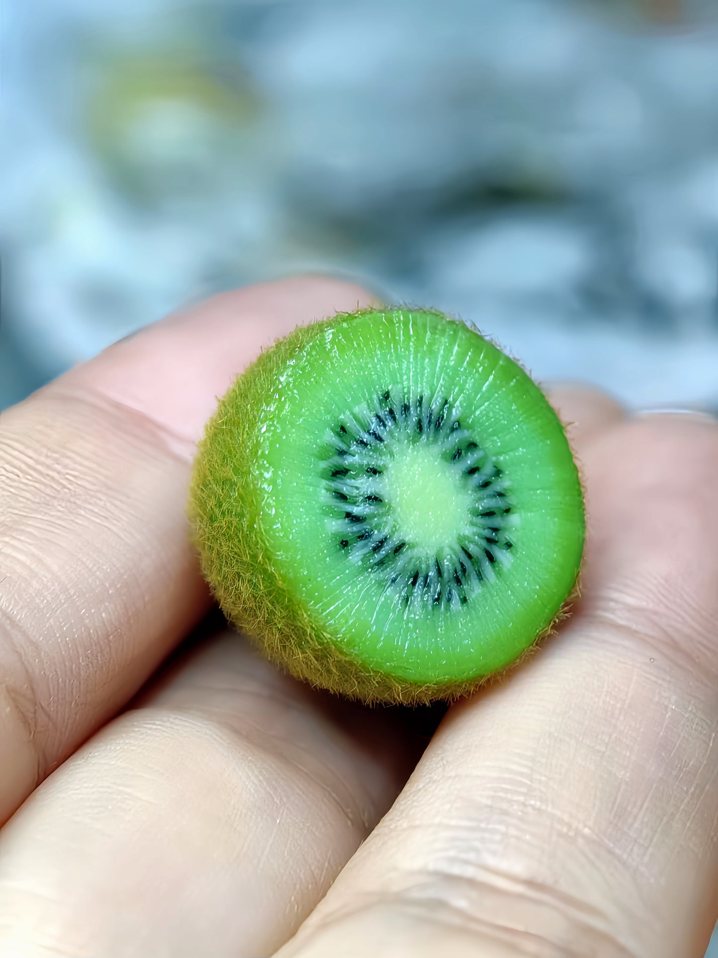 3Pcs Miniature Kiwi Fruit Set – Hand-Sculpted 1:12 Scale Dollhouse Kiwi with Real Fuzzy Skin, Radiating Green Flesh and Hand-Placed Black Seeds, Tiny Realistic Fruit for Dioramas & Polymer Clay Food Miniatures
