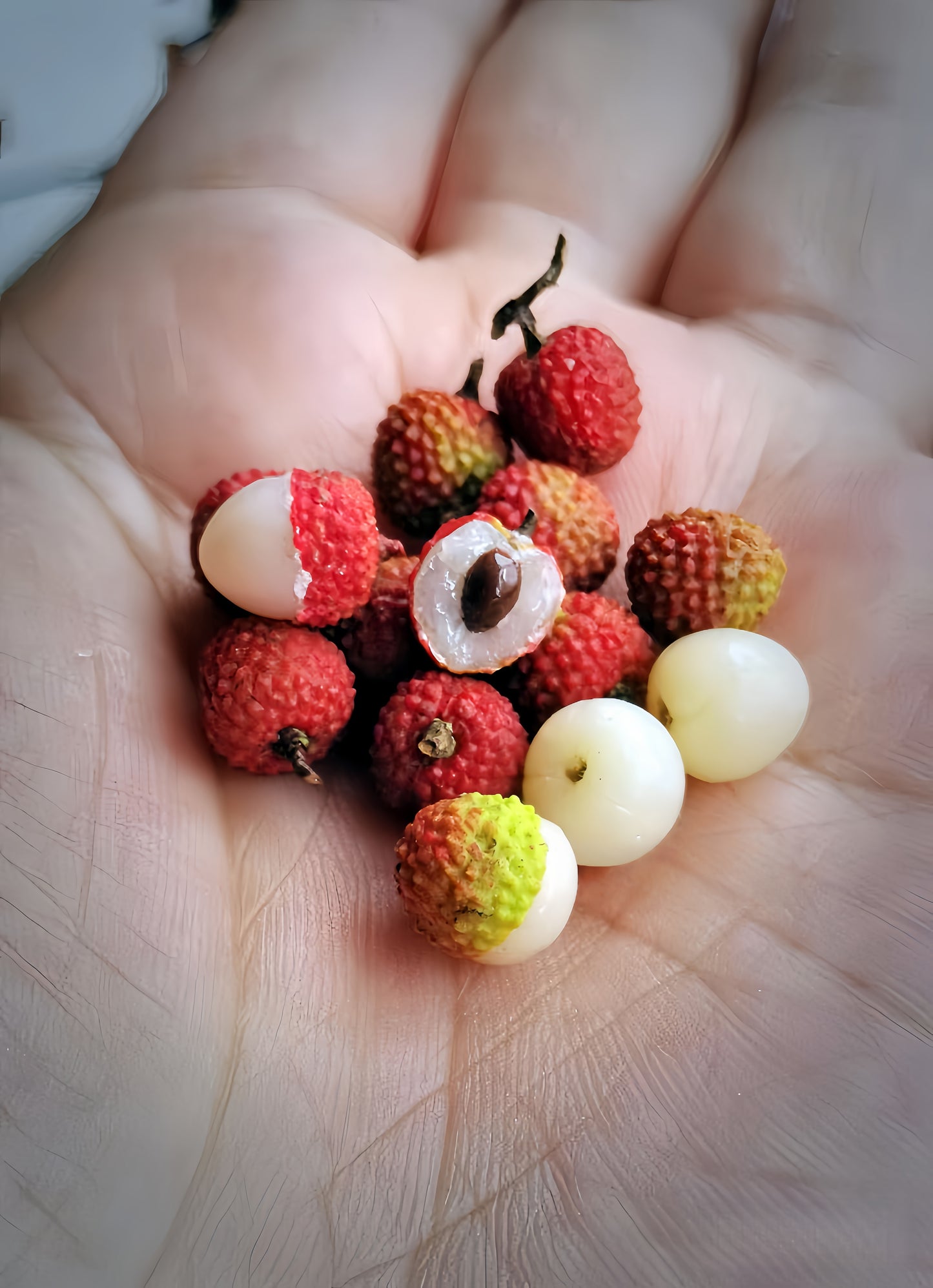 15Pcs Miniature Lychee Set – Hand-Sculpted 1:12 Scale Dollhouse Lychees with Bumpy Red Shell, Translucent White Flesh and Dark Seed, Realistic Tropical Fruit Miniatures for Dioramas & Polymer Clay Art