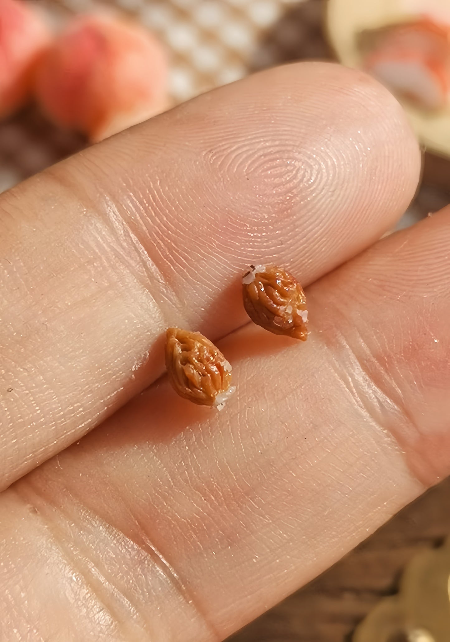 6Pcs Miniature White Peach Set – Hand-Sculpted 1:12 Scale Dollhouse Peaches with Fuzzy Skin, Halved Cross-Section, Pit and Slice, Realistic Tiny Fruit for Dioramas, Resin Jewelry & Polymer Clay Food Miniatures
