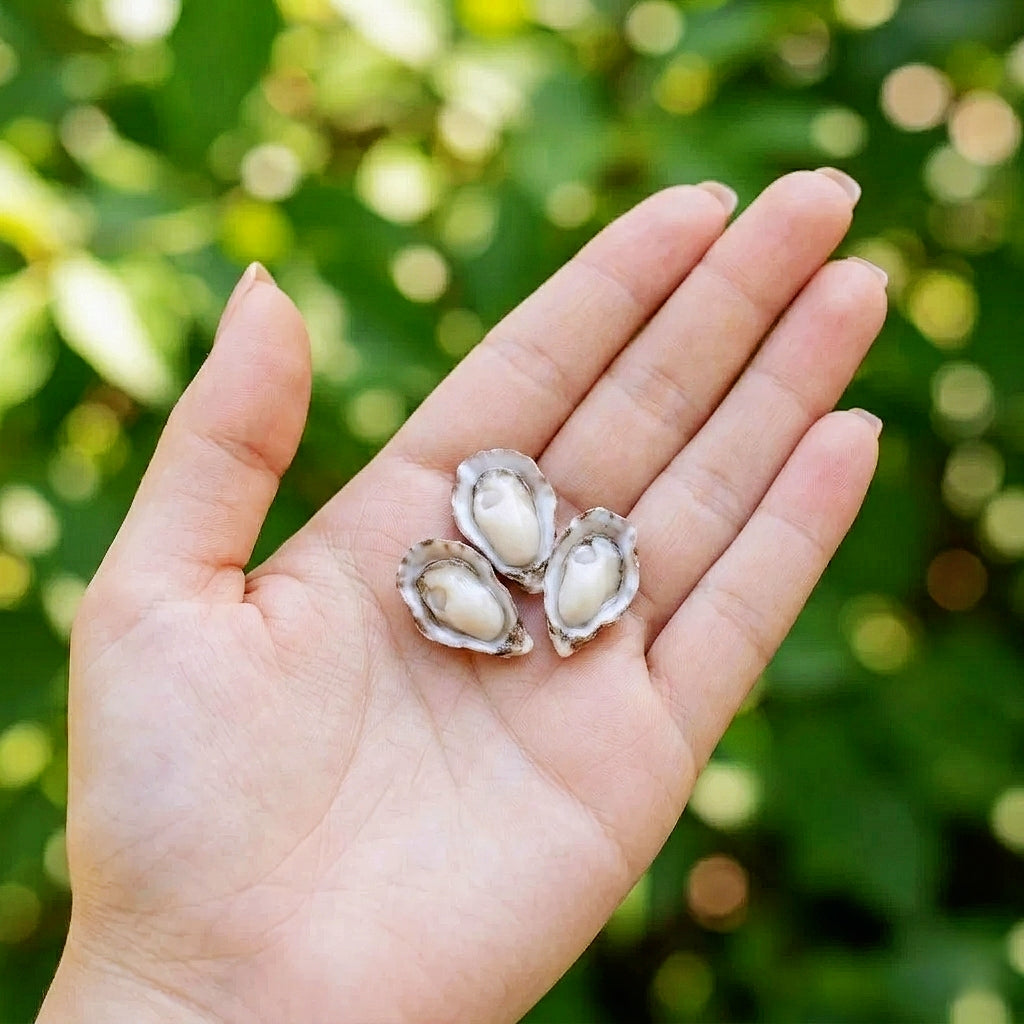Miniature Grilled Oysters - Hand-Sculpted 1:6 Scale Garlic Oysters on the Half Shell with Scallion & Chili, Realistic Seafood Dollhouse Food for Blythe & Barbie Kitchen Dioramas, Resin Jewelry & Polymer Clay Food