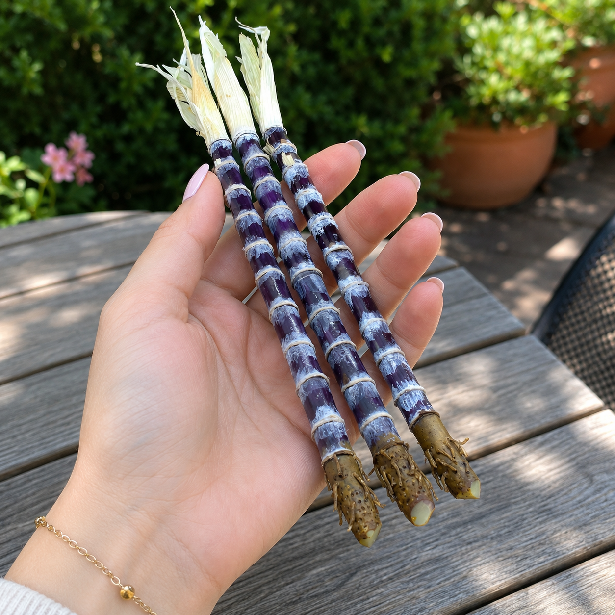 1:6 Scale Miniature Purple Sugar Cane Set – Dollhouse Realistic Tropical Sugarcane Stalk, Handmade Polymer Clay Asian Market Food for Blythe BJD Diorama