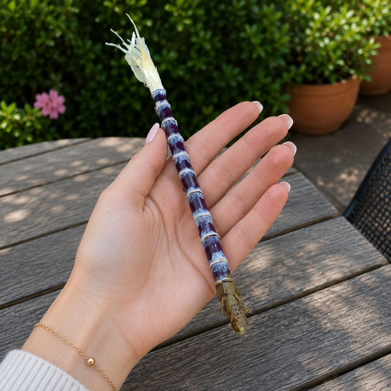 1:6 Scale Miniature Purple Sugar Cane Set – Dollhouse Realistic Tropical Sugarcane Stalk, Handmade Polymer Clay Asian Market Food for Blythe BJD Diorama