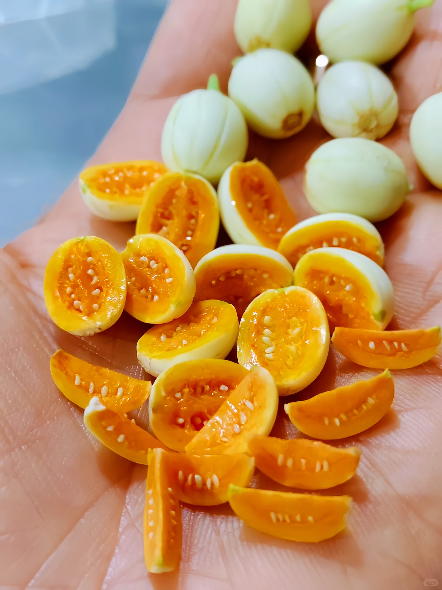 6Pcs Miniature Melon Set – Hand-Sculpted 1:6 Scale Cantaloupe, Whole, Halved and Wedged with Cross-Section Seeds, Realistic Tiny Orange-Flesh Fruit for Blythe & Barbie Dioramas, Resin Jewelry & Polymer Clay Food