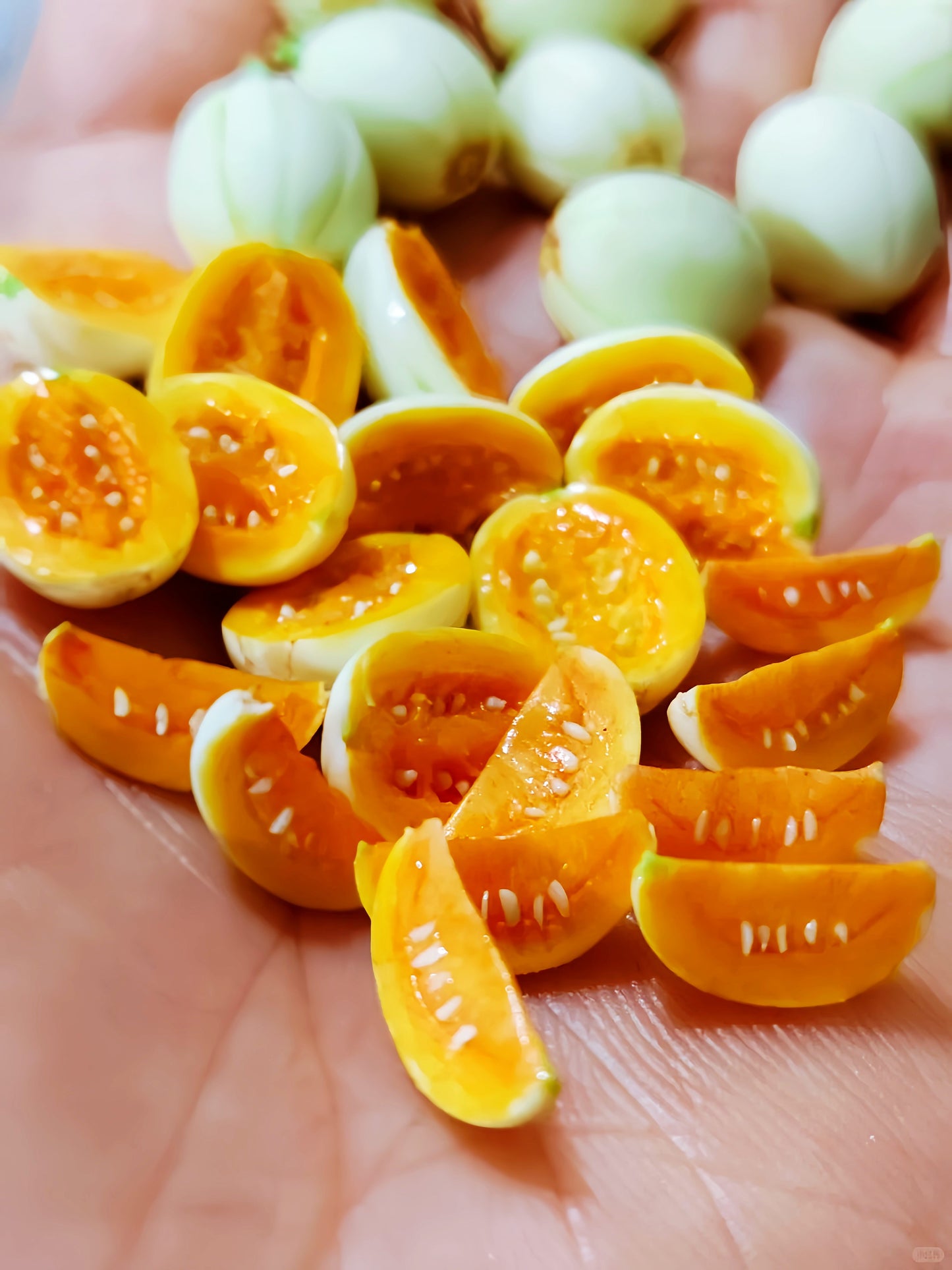 6Pcs Miniature Melon Set – Hand-Sculpted 1:6 Scale Cantaloupe, Whole, Halved and Wedged with Cross-Section Seeds, Realistic Tiny Orange-Flesh Fruit for Blythe & Barbie Dioramas, Resin Jewelry & Polymer Clay Food