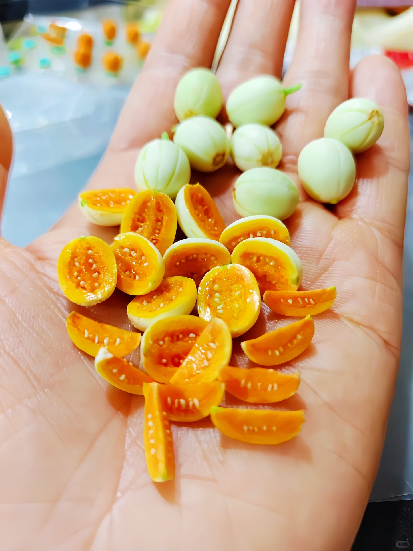 6Pcs Miniature Melon Set – Hand-Sculpted 1:6 Scale Cantaloupe, Whole, Halved and Wedged with Cross-Section Seeds, Realistic Tiny Orange-Flesh Fruit for Blythe & Barbie Dioramas, Resin Jewelry & Polymer Clay Food