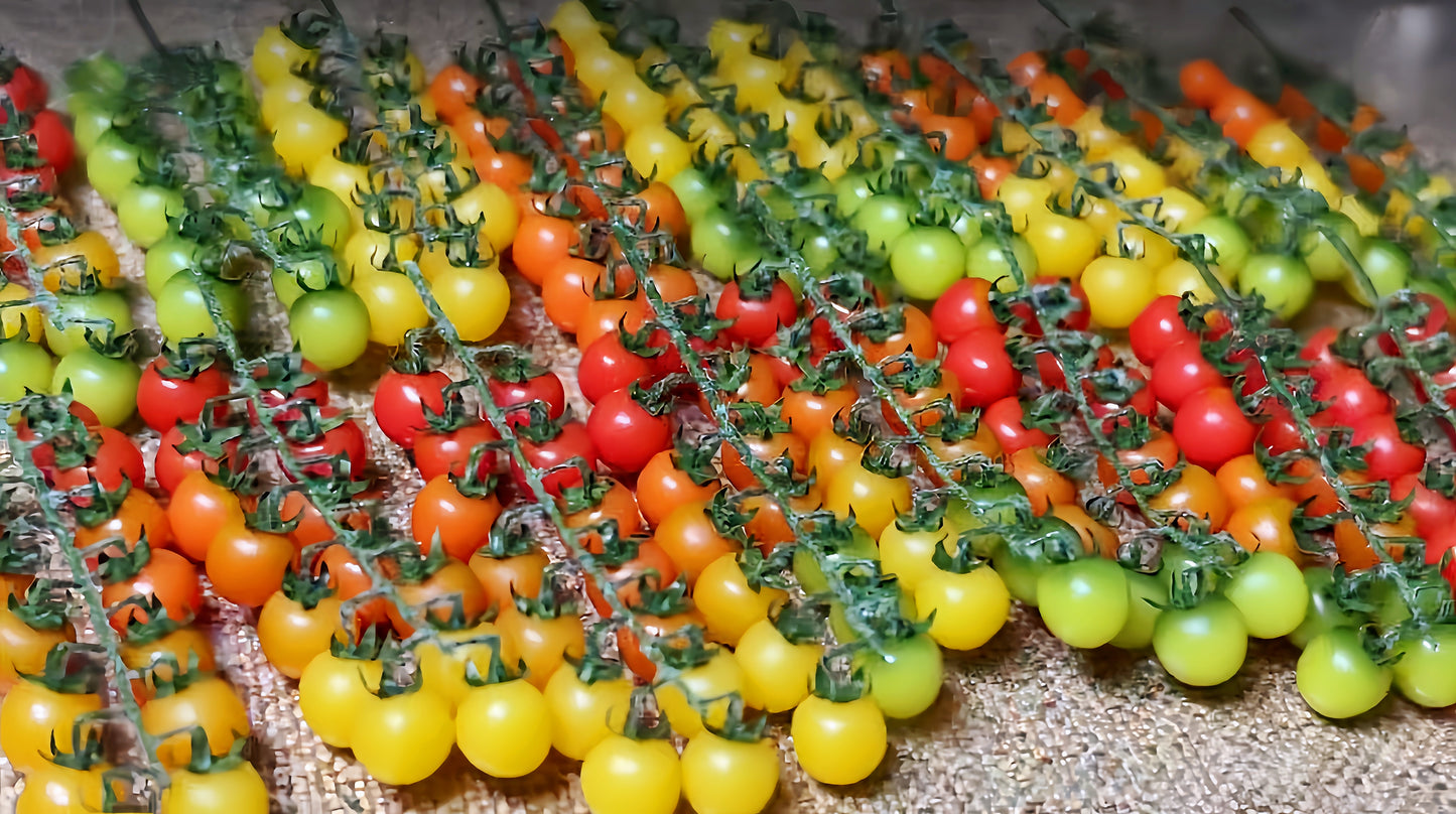 realistic miniature tomato vine for dollhouse fdmini
