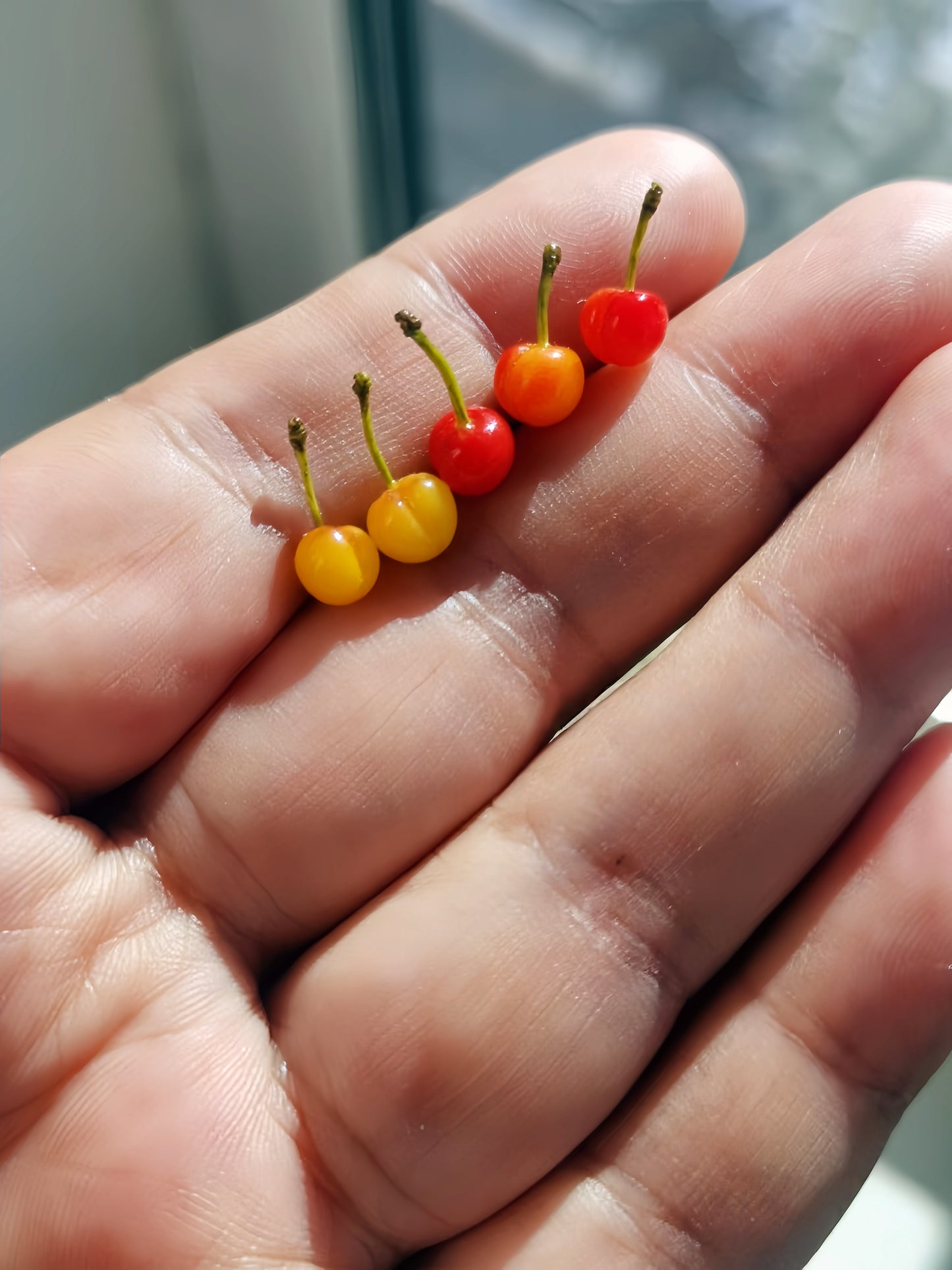 13Pcs Miniature Rainier Cherries – Hand-Sculpted 1:12 Scale Dollhouse Cherries with Yellow-to-Red Gradient and Real Green Stems, Realistic Tiny Fruit for Dioramas, Resin Jewelry & Polymer Clay Food Miniatures