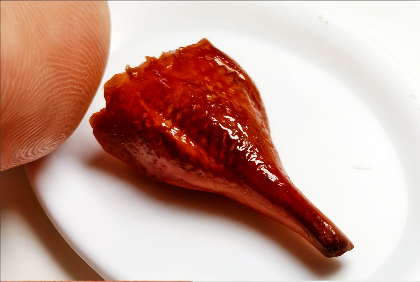 Miniature Roast Goose – Hand-Sculpted 1:6 Scale Dollhouse Whole Cantonese Roast Goose on a Plate, Glossy Crispy Skin, Realistic Chinese Siu Mei Dish for Blythe & Barbie Dioramas, Resin Jewelry & Polymer Clay Food Miniatures