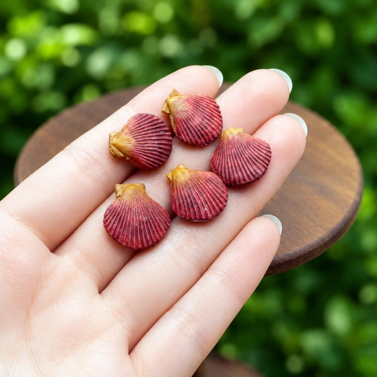 Miniature Scallops - Hand-Sculpted 1:6 Scale Scallops in the Shell with Ribbed Texture, Realistic Seafood Dollhouse Food for Blythe & Barbie Kitchen Dioramas, Resin Jewelry & Polymer Clay Food