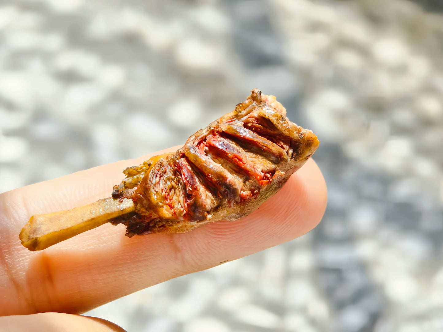 Miniature Grilled Lamb Leg Platter – Hand-Sculpted 1:6 Scale Dollhouse Roast Lamb on a Wooden Board with Foil-Wrapped Bone, Cherry Tomato & Lemon, Realistic Plated Meat Dish for Blythe & Barbie Dioramas, Resin & Polymer Clay Food