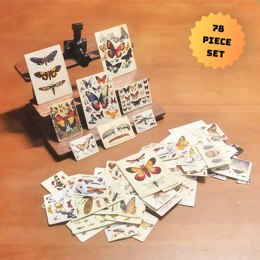 Insect Cardboard Camera DIY Kit - STEM Educational Miniature Toy for Teens & Adults, Creative Science Project with Hands-On Assembly & Realistic Observation, Fun STEM Learning Activity