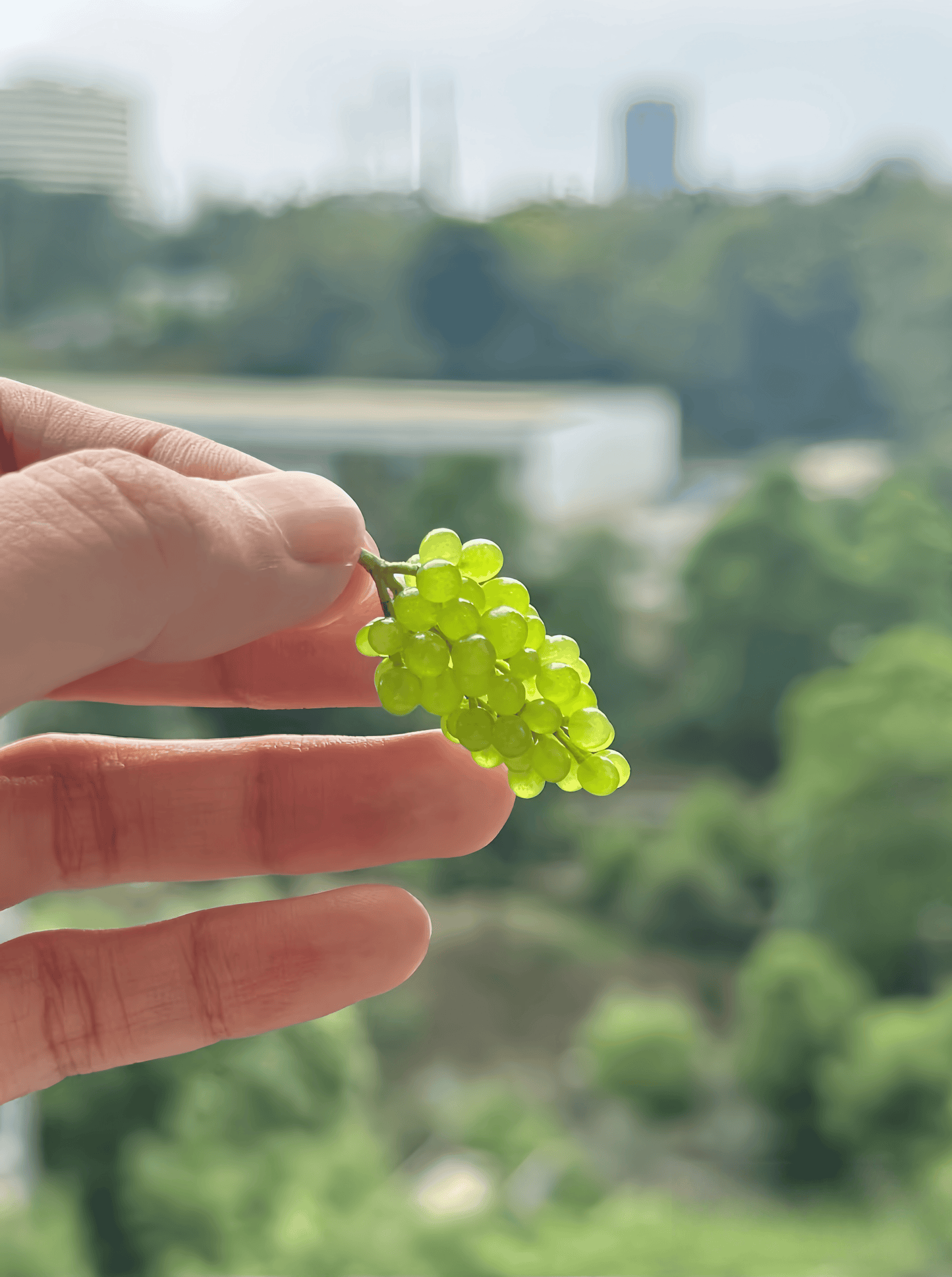 miniature mulberry charms for dollhouse display fdmini
