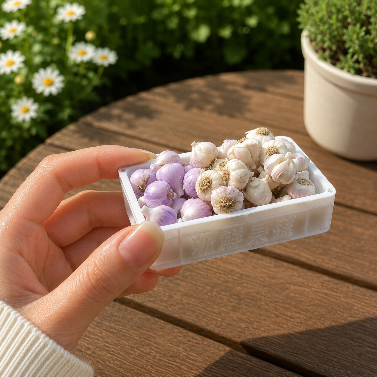 1:6 Scale Miniature Garlic Bulb Set – Dollhouse White & Purple Garlic Variety, Handmade Polymer Clay Realistic Kitchen Vegetable for Blythe BJD Diorama