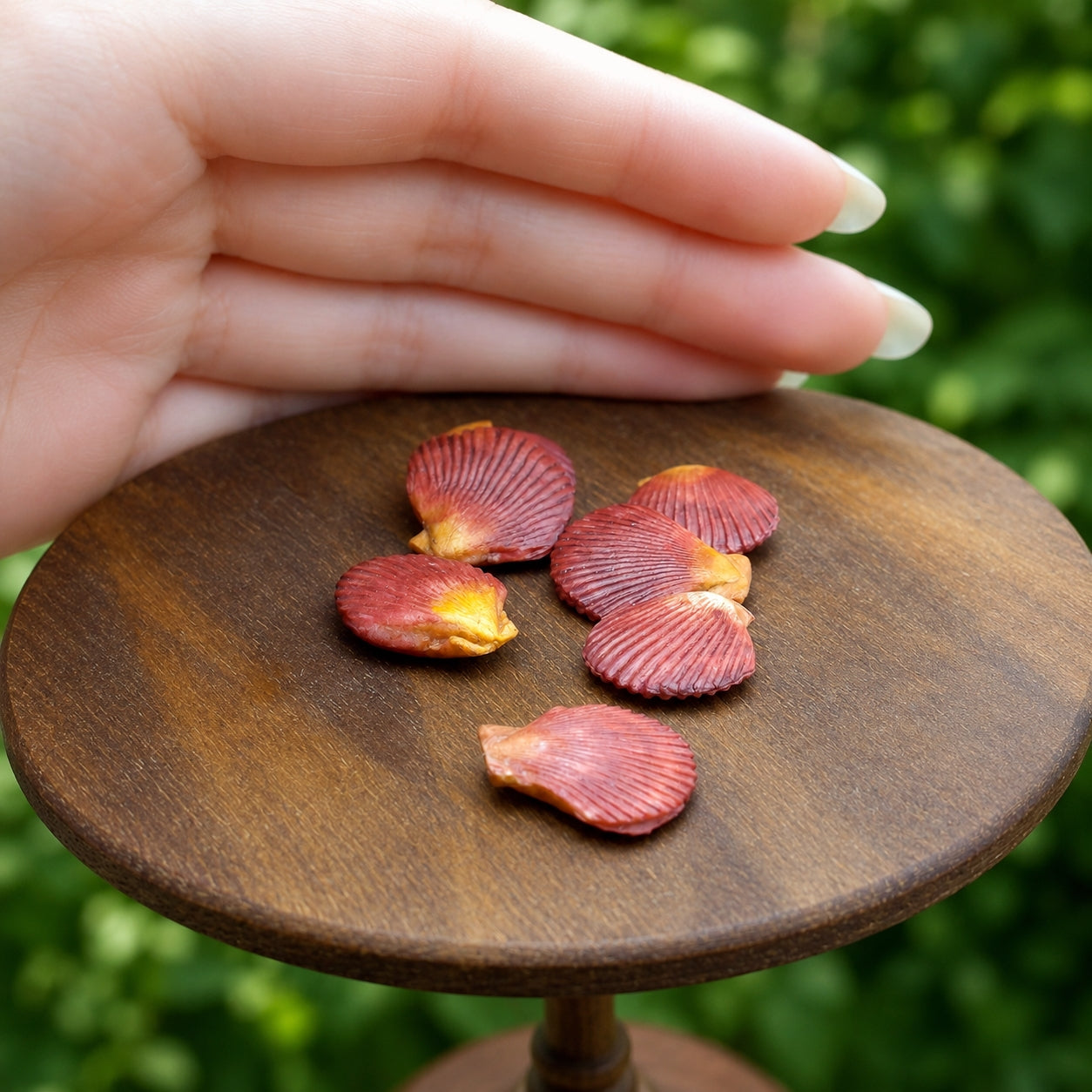 Miniature Scallops - Hand-Sculpted 1:6 Scale Scallops in the Shell with Ribbed Texture, Realistic Seafood Dollhouse Food for Blythe & Barbie Kitchen Dioramas, Resin Jewelry & Polymer Clay Food