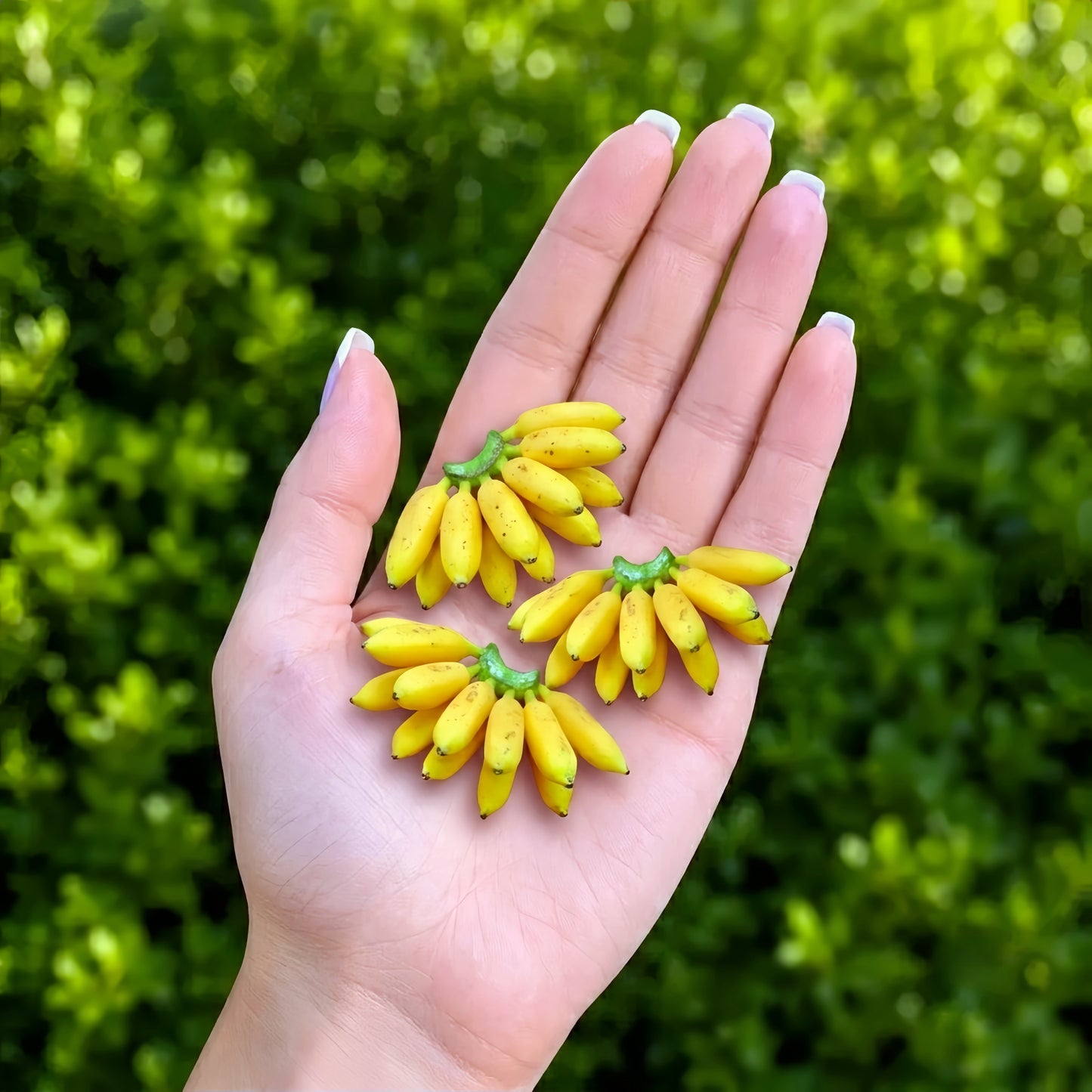 3Pcs Miniature Banana Bunch - Hand-Sculpted 1:6 Scale Ripe Lady Finger Bananas with Green Stem & Sugar Spots, Realistic Dollhouse Fruit for Blythe & Barbie Dioramas, Polymer Clay Food