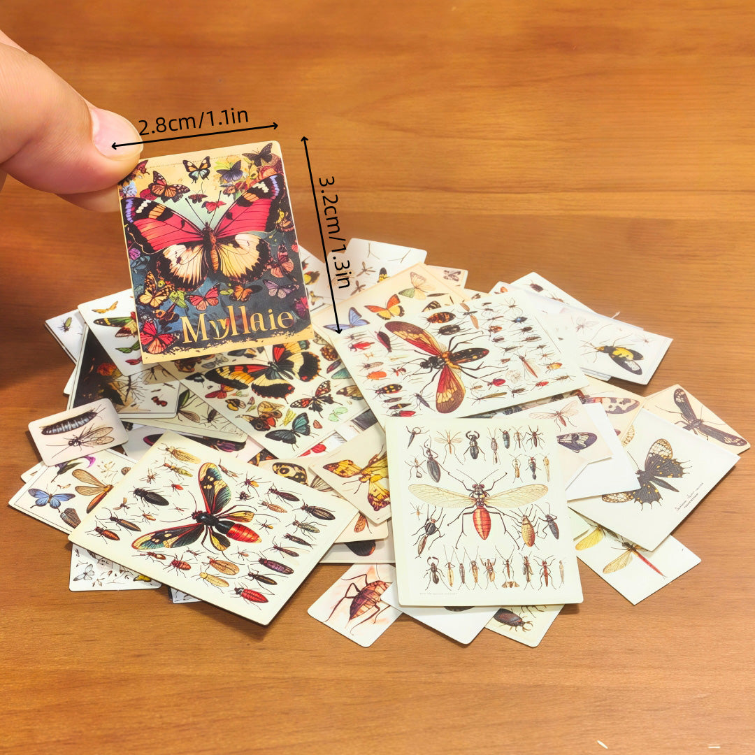 Insect Card Paper 3D Model Kit | Miniature STEM Craft for Teens & Adults | DIY Science Art, Educational Collectible for Nature Enthusiasts