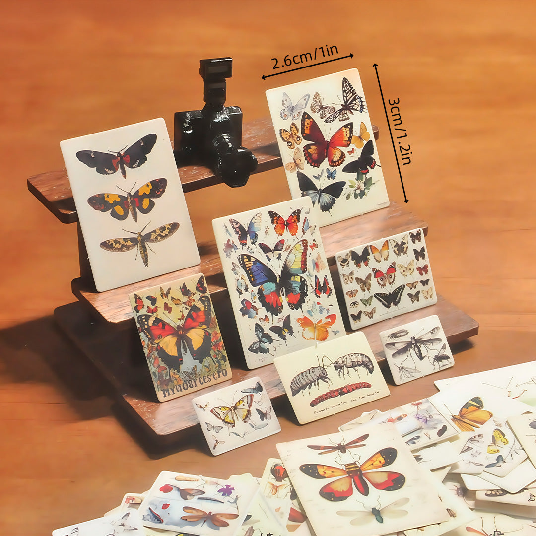Insect Cardboard Camera DIY Kit - STEM Educational Miniature Toy for Teens & Adults, Creative Science Project with Hands-On Assembly & Realistic Observation, Fun STEM Learning Activity