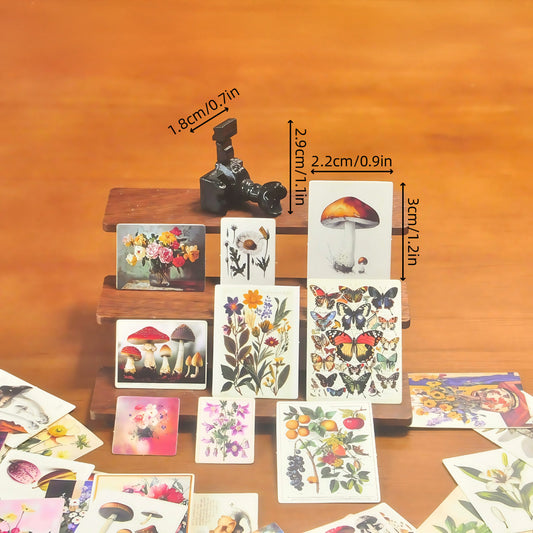 DIY plant cardboard camera kit fdmini