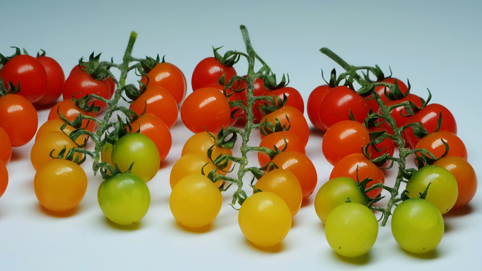 miniature tomato cluster for 1:12 scale display fdmini