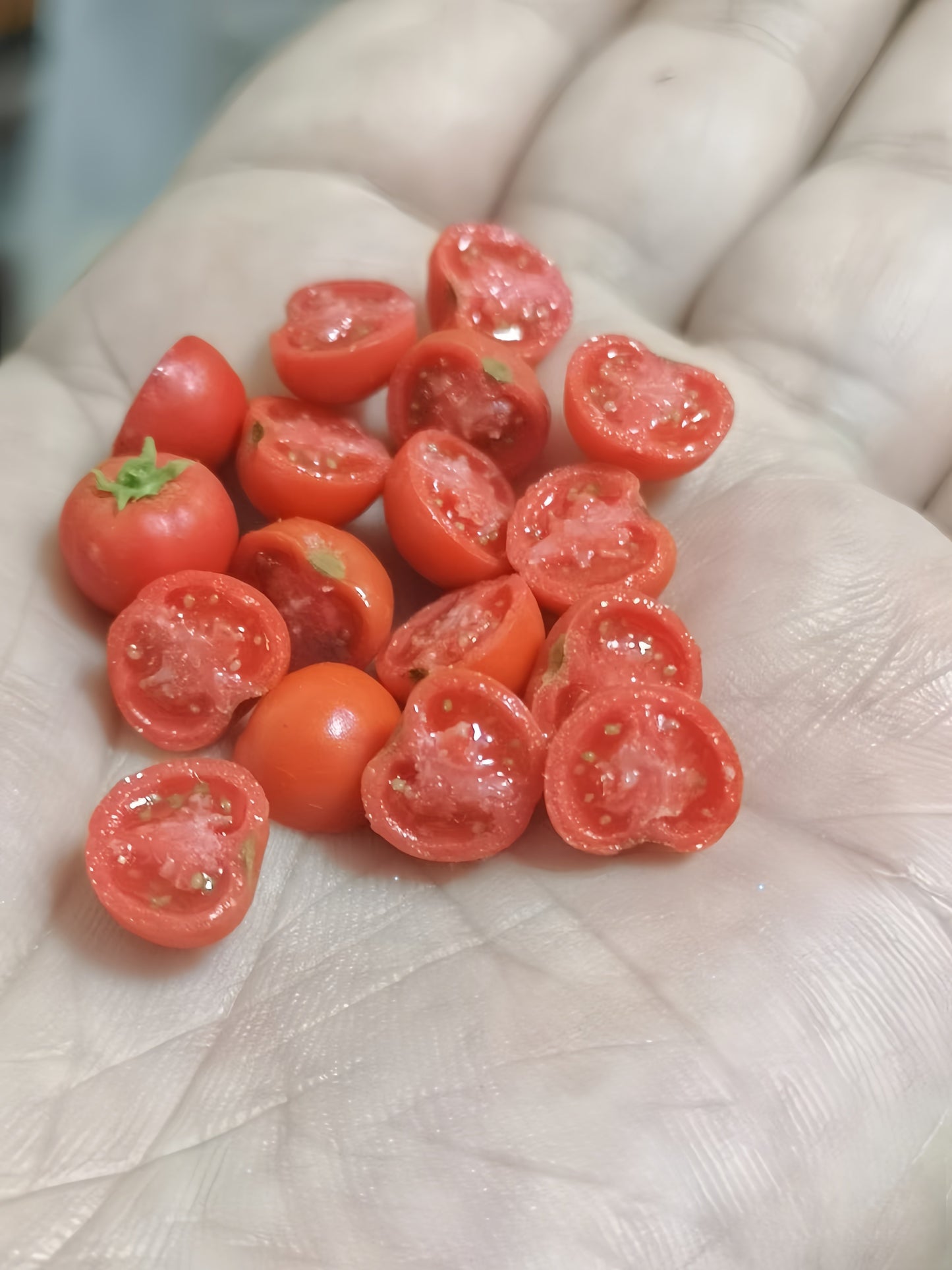 6Pcs Miniature Cherry Tomato Set – Hand-Sculpted 1:12 Scale Dollhouse Tomatoes with Halved Cross-Section, Translucent Pulp and Tiny Seeds, Realistic Produce for Italian Kitchen Dioramas, Salad Scenes & Polymer Clay Food Miniatures