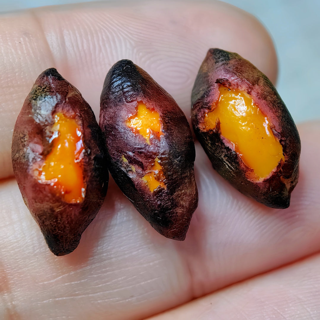 6Pcs Miniature Roasted Sweet Potato Set – Hand-Sculpted 1:6 Scale Dollhouse Baked Sweet Potatoes with Caramelized Skin and Golden Honey Flesh, Realistic Tiny Street Food for Blythe & Barbie Dioramas, Resin Jewelry & Polymer Clay Food Miniatures