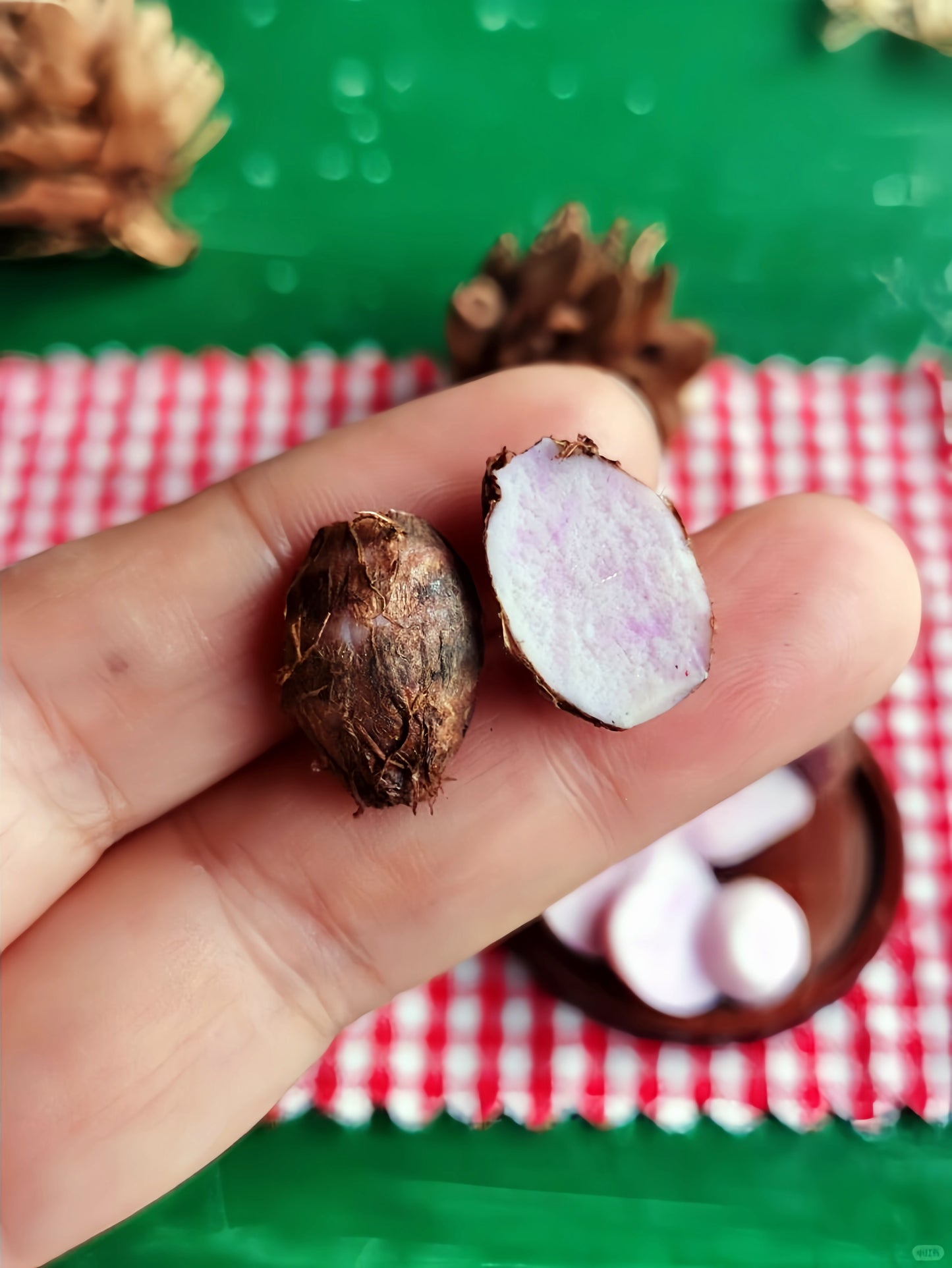 6Pcs Miniature Taro Set – Hand-Sculpted 1:6 Scale Dollhouse Taro Root with Fuzzy Skin and Purple-Speckled Flesh, Realistic Tiny Asian Vegetable for Blythe & Barbie Dioramas, Resin Jewelry & Polymer Clay Food MiniaturesB · Reddit / 社媒短标题