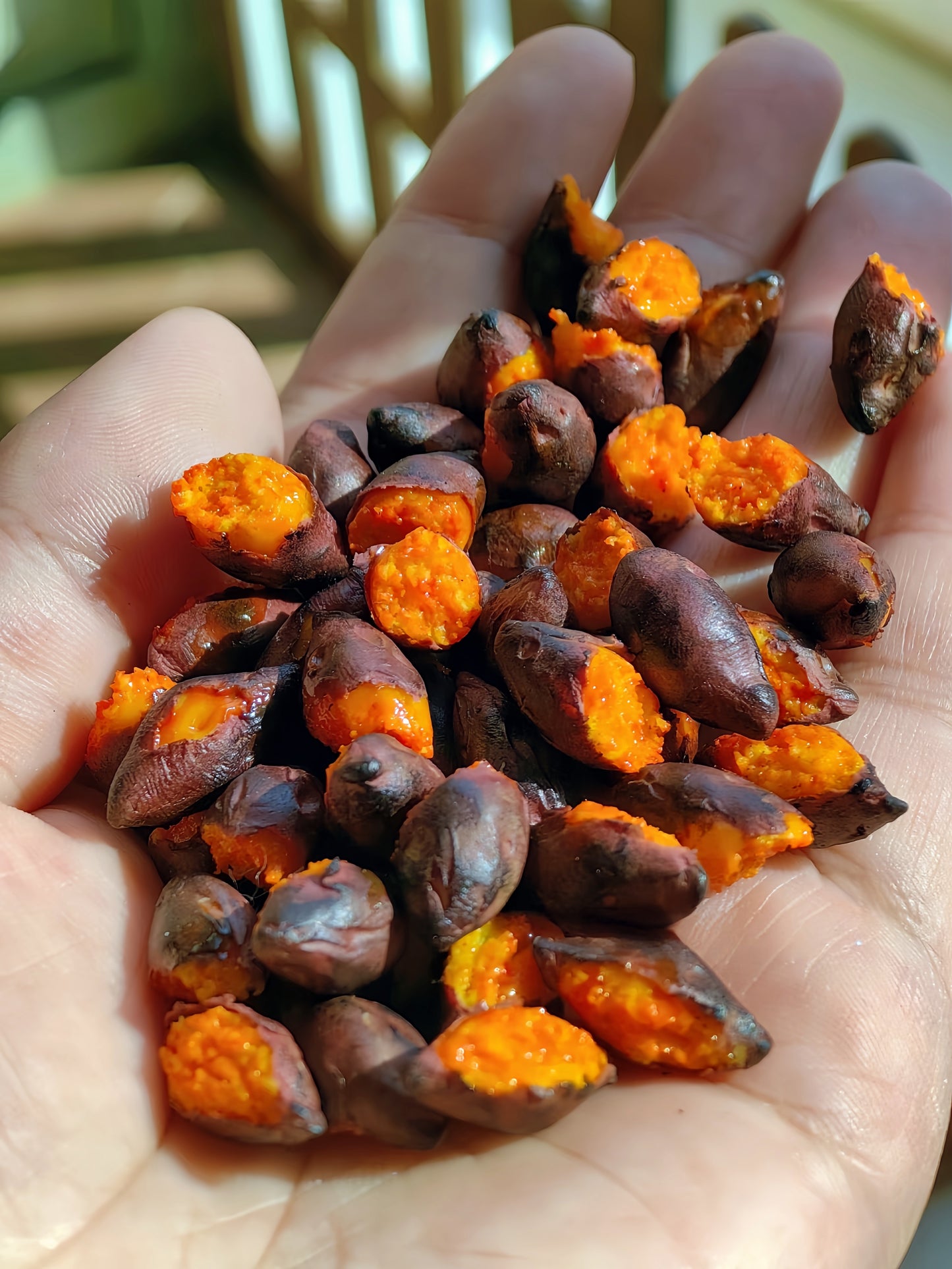 6Pcs Miniature Roasted Sweet Potato Set – Hand-Sculpted 1:6 Scale Dollhouse Baked Sweet Potatoes with Caramelized Skin and Golden Honey Flesh, Realistic Tiny Street Food for Blythe & Barbie Dioramas, Resin Jewelry & Polymer Clay Food Miniatures