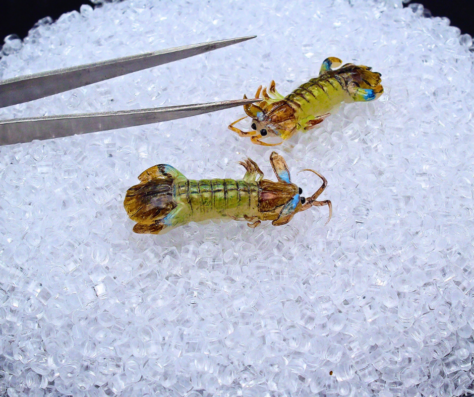 Miniature Mantis Shrimp - Hand-Sculpted 1:6 Scale Fresh Mantis Prawn with Segmented Shell, Blue-Edged Tail Fan & Antennae, Realistic Seafood Dollhouse Food for Blythe & Barbie Kitchen Dioramas, Resin Jewelry & Polymer Clay Food