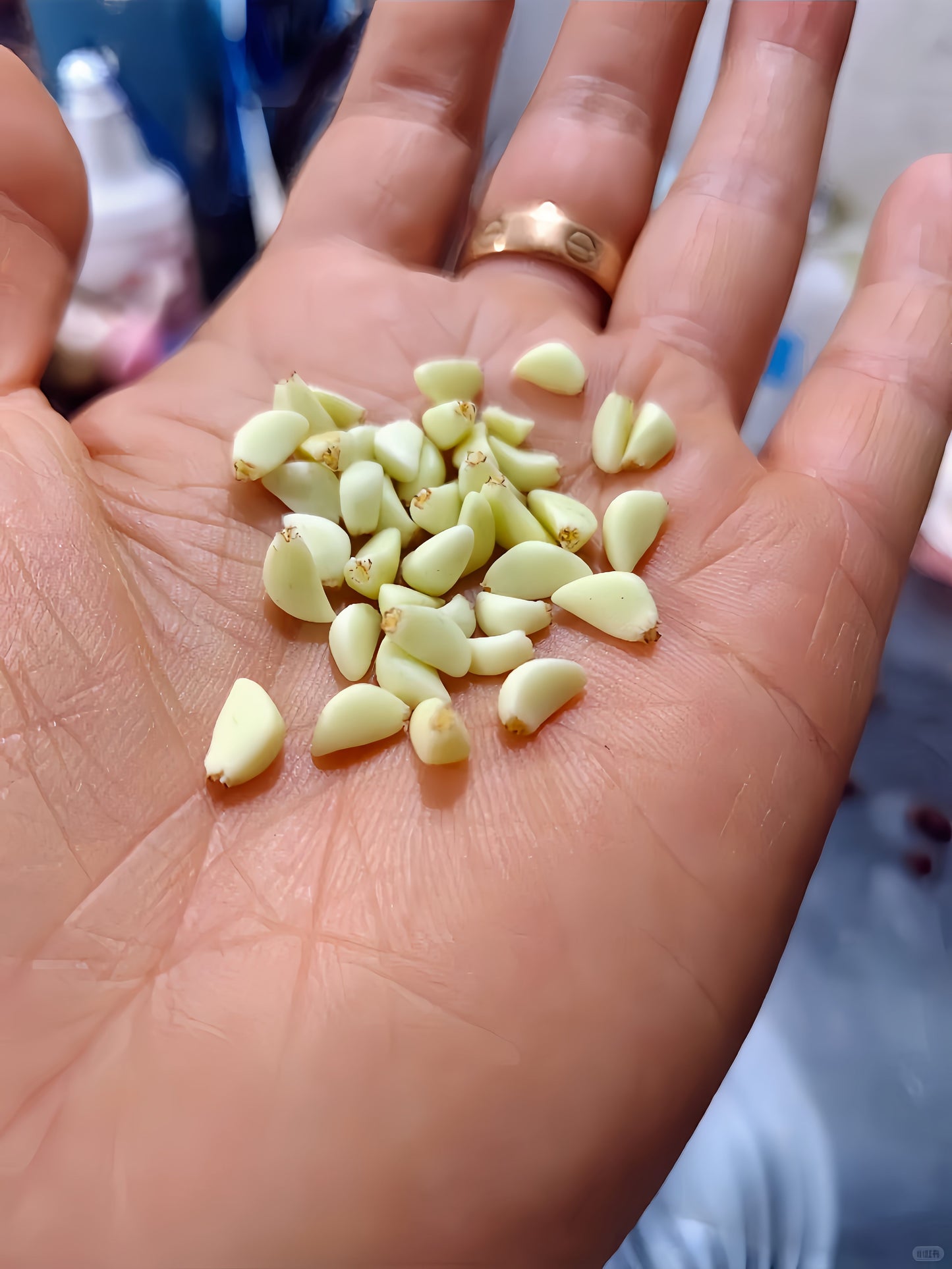 16Pcs Miniature Garlic Cloves Set – Hand-Sculpted 1:6 Scale Dollhouse Peeled Garlic with Glossy Skin and Root Ends, Realistic Tiny Aromatics for Blythe & Barbie Kitchen Dioramas, Resin Jewelry & Polymer Clay Food Miniatures