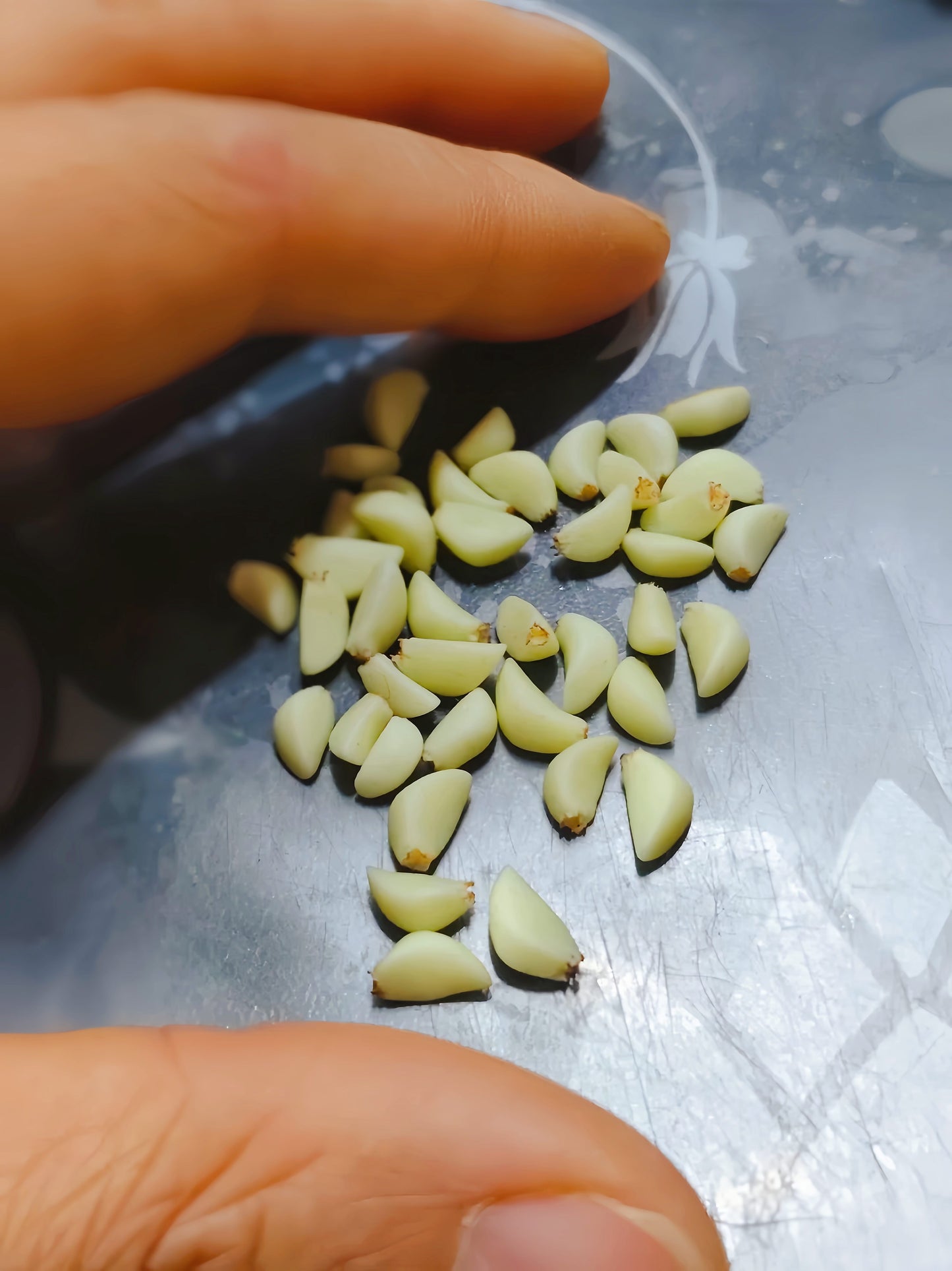 16Pcs Miniature Garlic Cloves Set – Hand-Sculpted 1:6 Scale Dollhouse Peeled Garlic with Glossy Skin and Root Ends, Realistic Tiny Aromatics for Blythe & Barbie Kitchen Dioramas, Resin Jewelry & Polymer Clay Food Miniatures