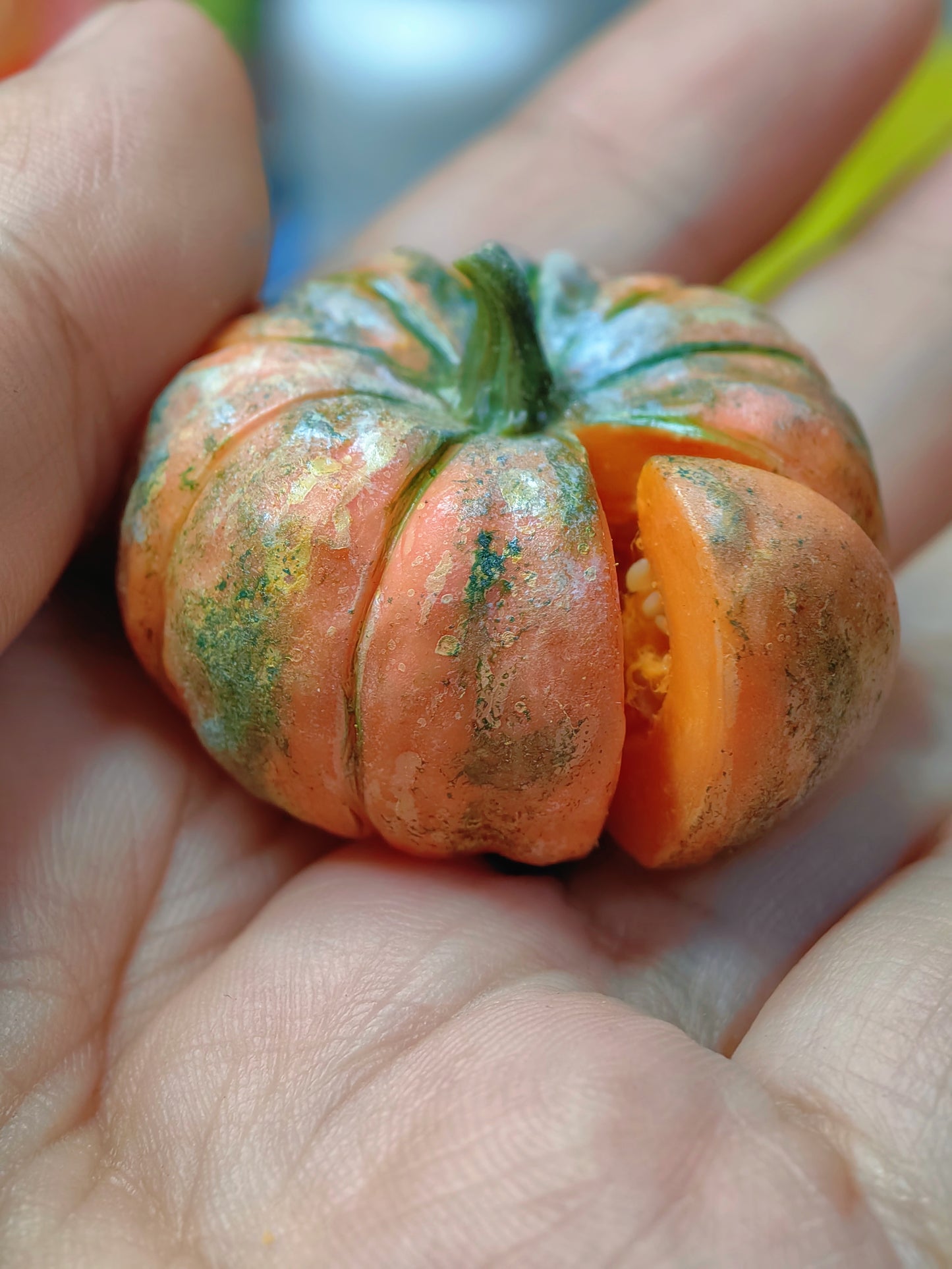 2Pcs Miniature Pumpkin Set – Hand-Sculpted 1:6 Scale Dollhouse Pumpkin with Cut Wedge, Seeds and Pulp, Realistic Tiny Fall Squash for Blythe & Barbie Halloween Dioramas, Resin Jewelry & Polymer Clay Food Miniatures