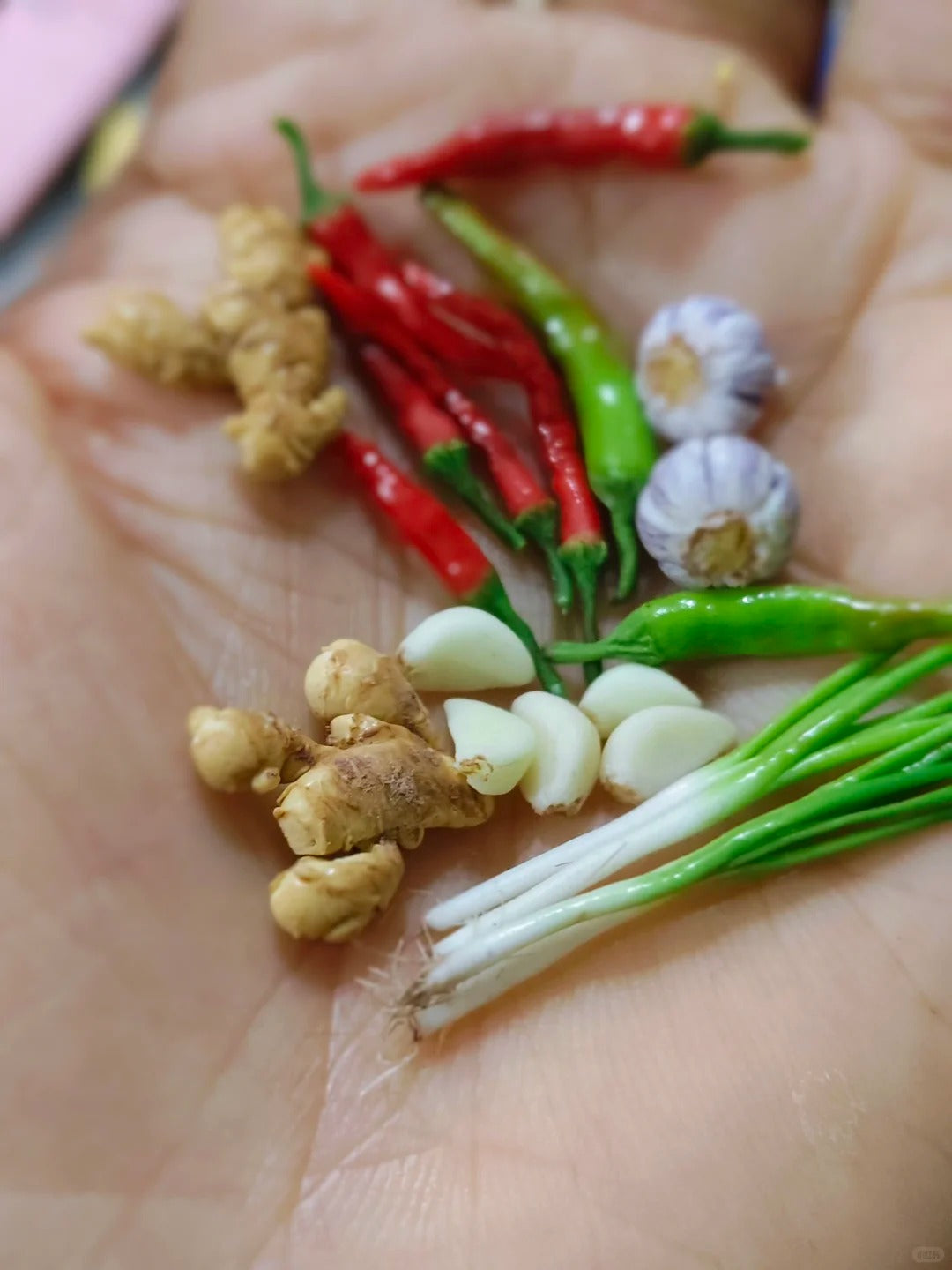 8Pcs Miniature Red Chili Pepper Set – Hand-Sculpted 1:6 Scale Dollhouse Chili Peppers with Glossy Skin and Green Stems, Realistic Tiny Hot Peppers for Blythe & Barbie Kitchen Dioramas, Resin Jewelry & Polymer Clay Food Miniatures