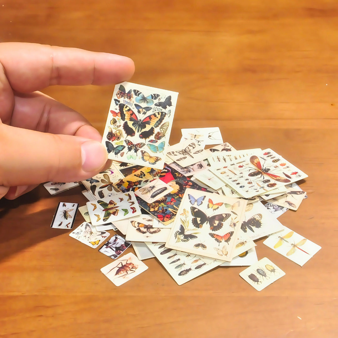 Insect Card Paper 3D Model Kit | Miniature STEM Craft for Teens & Adults | DIY Science Art, Educational Collectible for Nature Enthusiasts