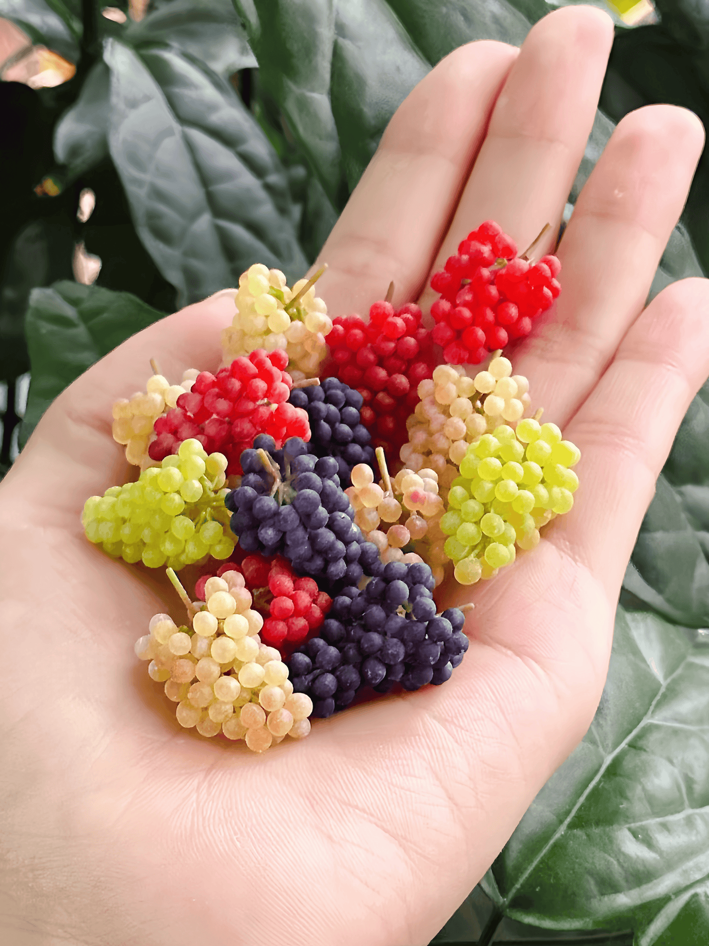 handmade polymer clay miniature mulberry charms fdmini