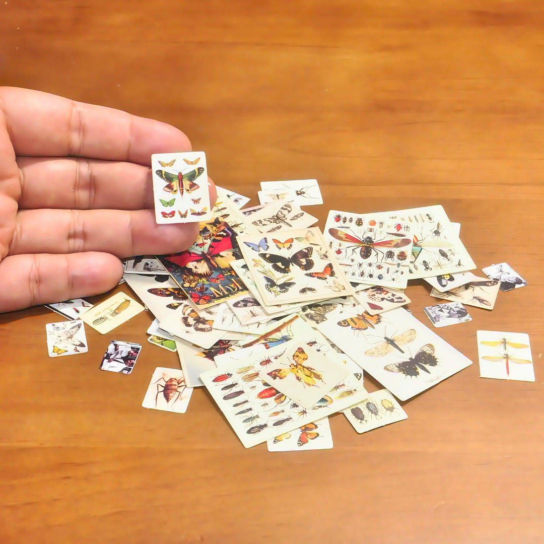 Insect Card Paper 3D Model Kit | Miniature STEM Craft for Teens & Adults | DIY Science Art, Educational Collectible for Nature Enthusiasts