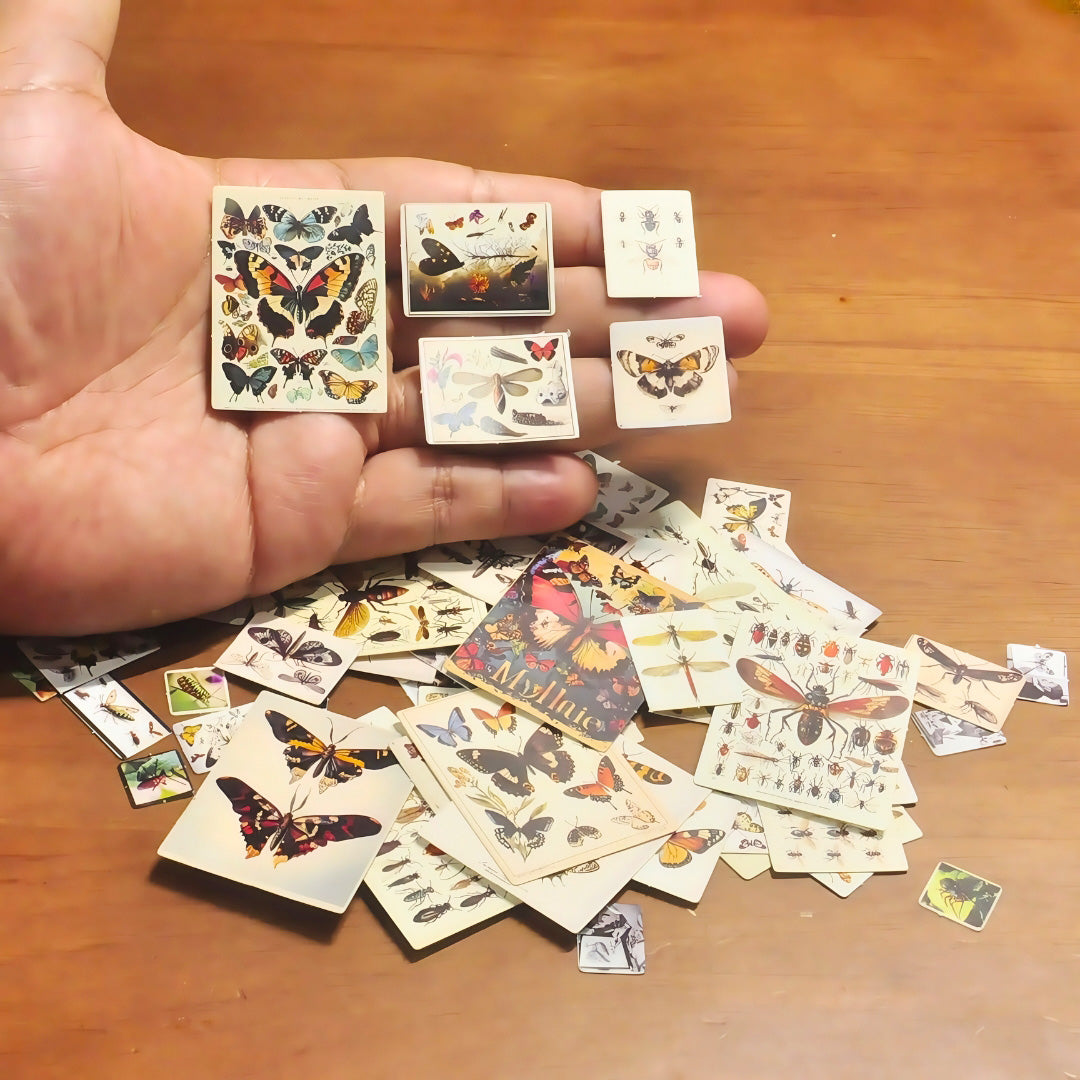 Insect Card Paper 3D Model Kit | Miniature STEM Craft for Teens & Adults | DIY Science Art, Educational Collectible for Nature Enthusiasts