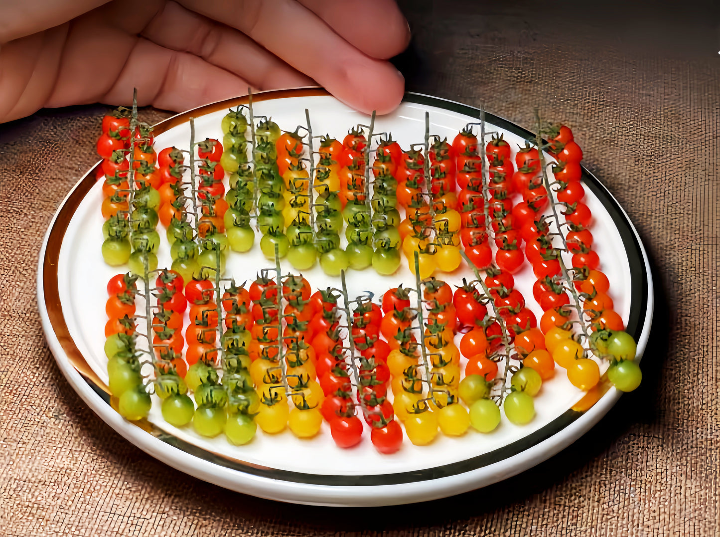 handmade polymer clay miniature tomato vine fdmini