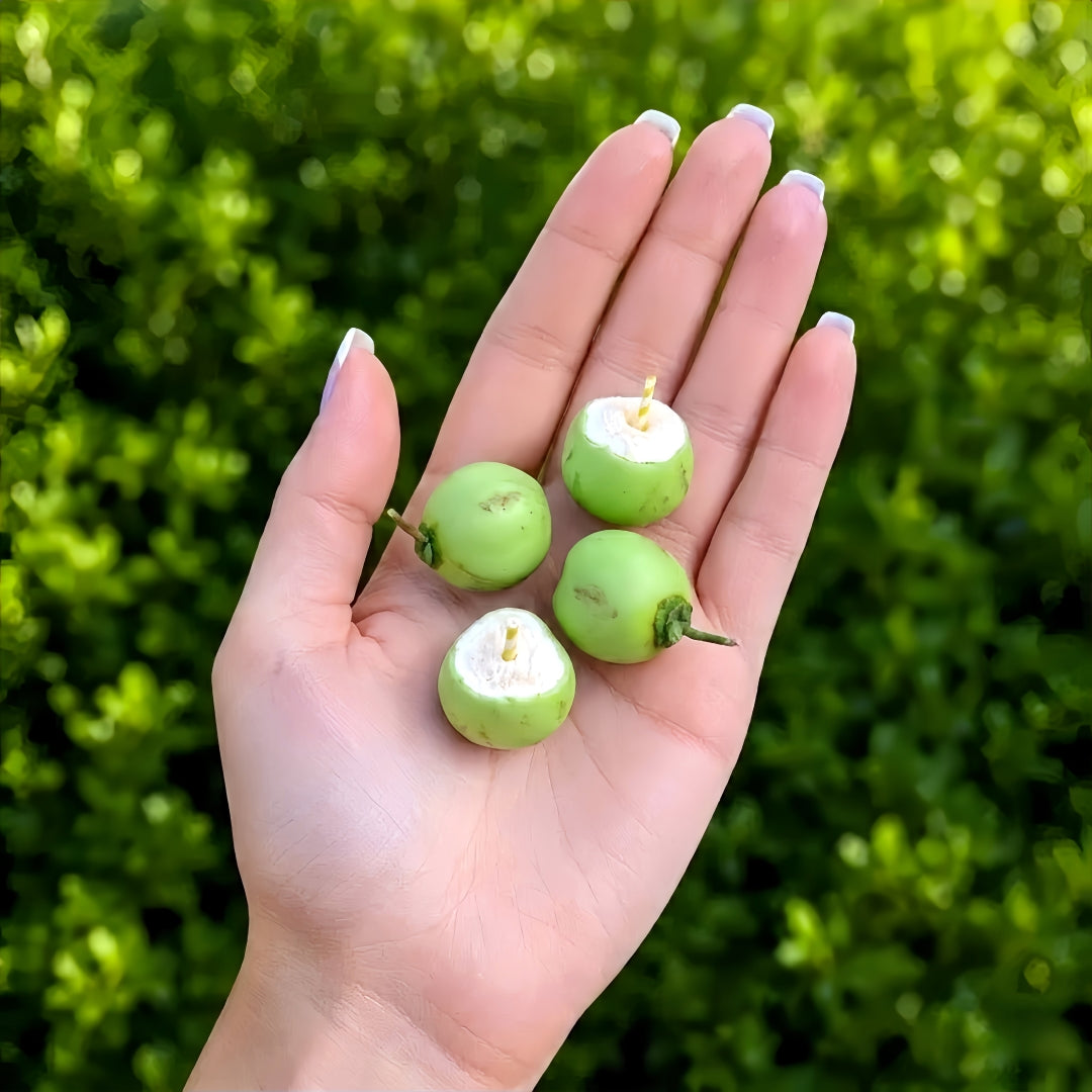 4Pcs Miniature Coconut Drink Set – Hand-Sculpted 1:6 Scale Green Coconut with Straw, Whole and Opened Tropical Fruit, Realistic Tiny Beach Food for Blythe & Barbie Dioramas, Resin Jewelry & Polymer Clay Fruit
