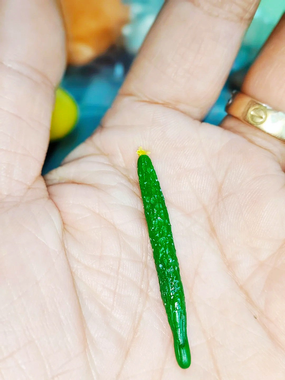 6Pcs Miniature Cucumber Set – Hand-Sculpted 1:6 Scale Dollhouse Cucumbers with Textured Spines and Blossom Ends, Realistic Tiny Vegetable for Blythe & Barbie Kitchen Dioramas, Resin Jewelry & Polymer Clay Food Miniatures